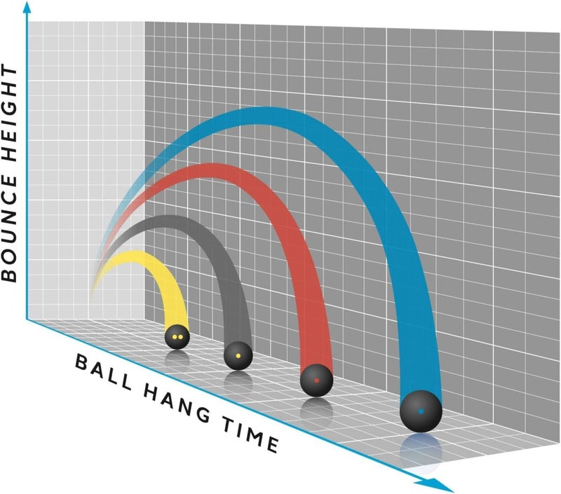 Dunlop Sports Progress Squash Ball, 12-Ball Box - Image 3